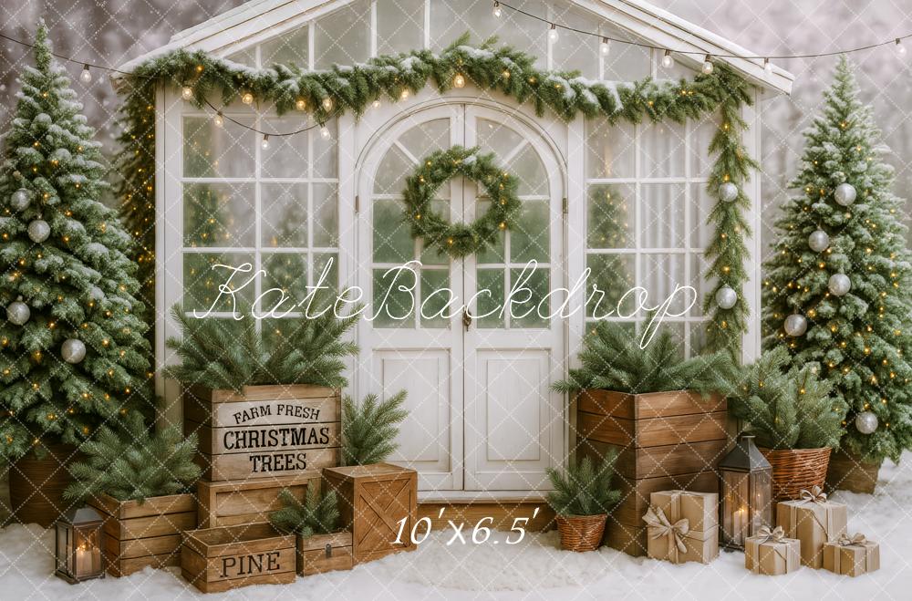 Kate Christmas Greenhouse Backdrop Designed by Patty Roberts