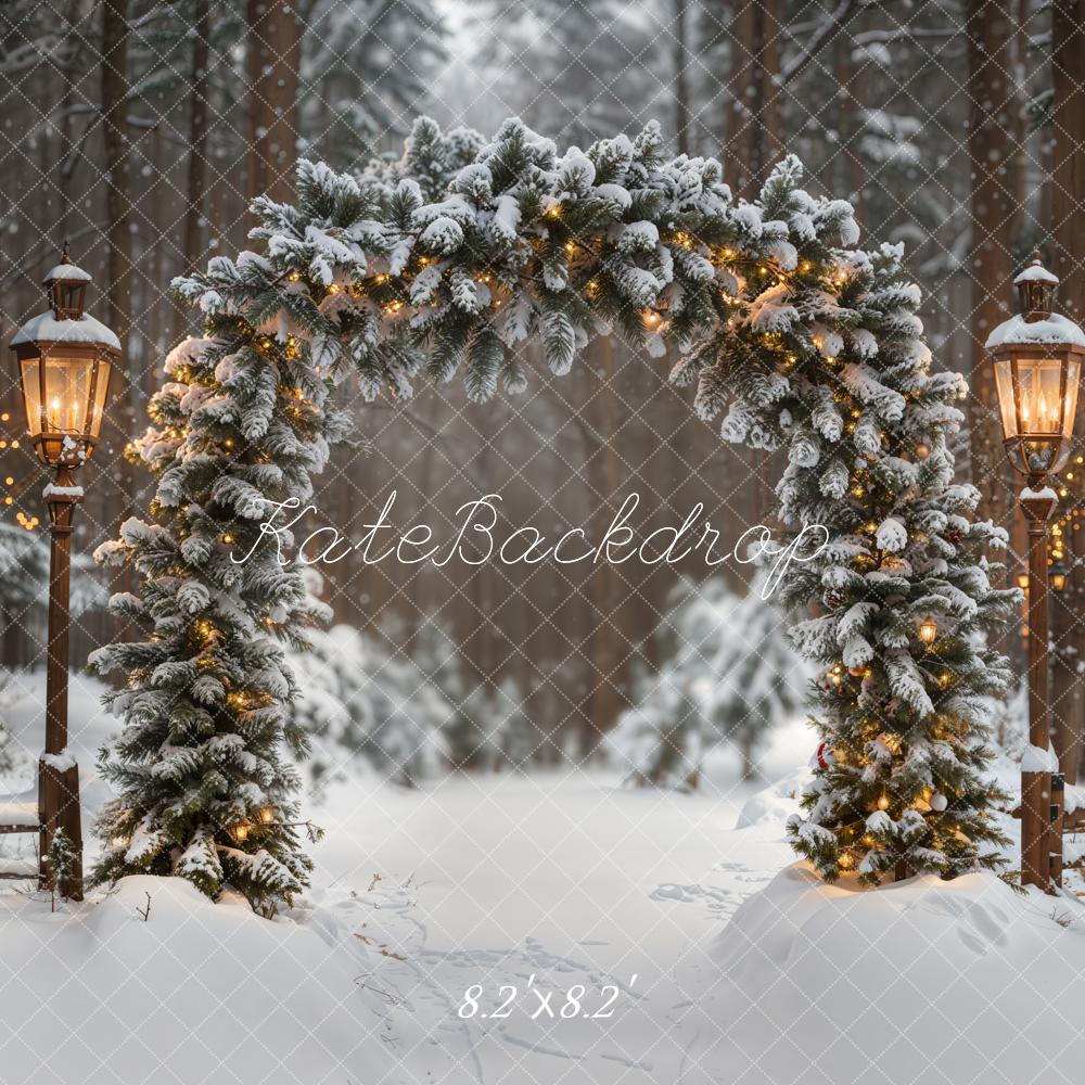 Kate Arch Snow Forest Winter Backdrop Designed by Emetselch - Kate Backdrop AU