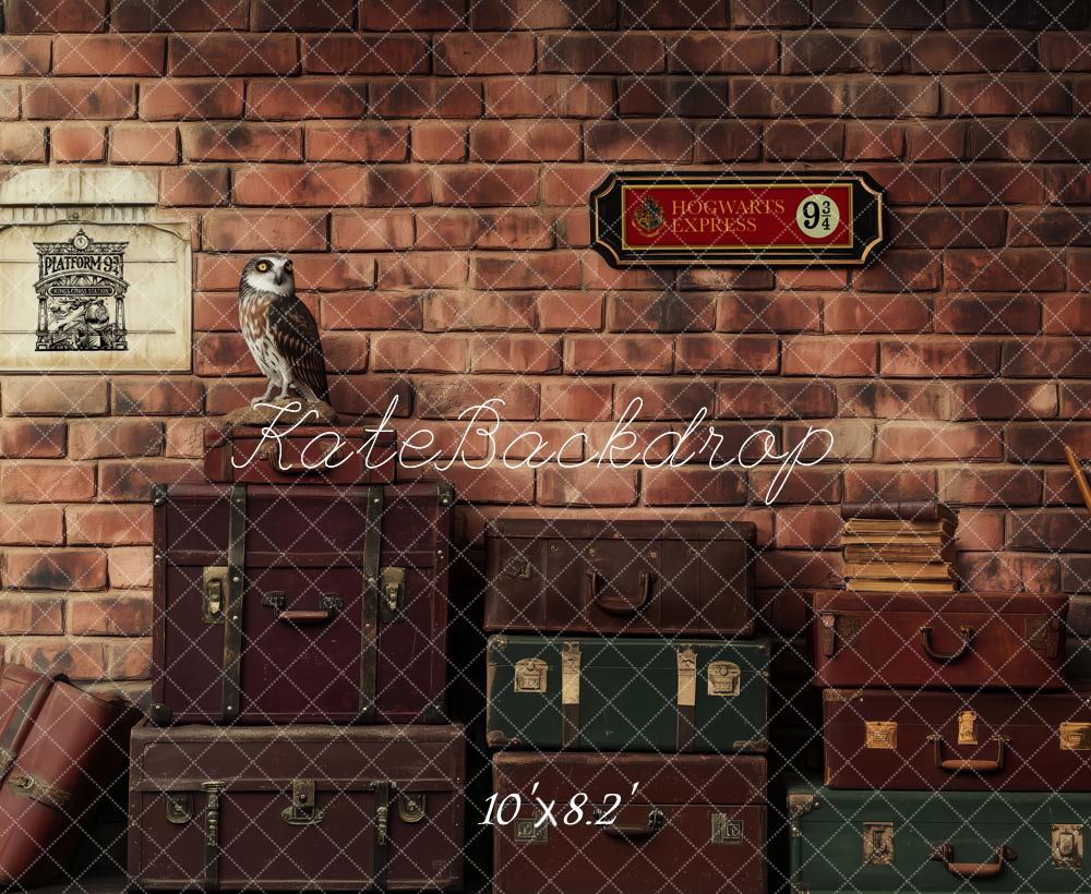 Kate Platform Luggage Owl Brick Wall Backdrop Designed by Patty Roberts - Kate Backdrop AU