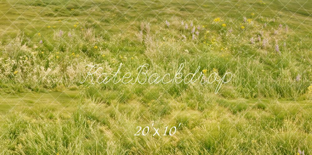 Kate Green Meadow Wildflowers Grass Backdrop Designed by Chain