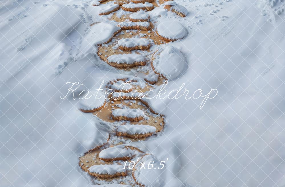 Kate Snowy Pathway Fleece Backdrop Designed by GQ - Kate Backdrop AU