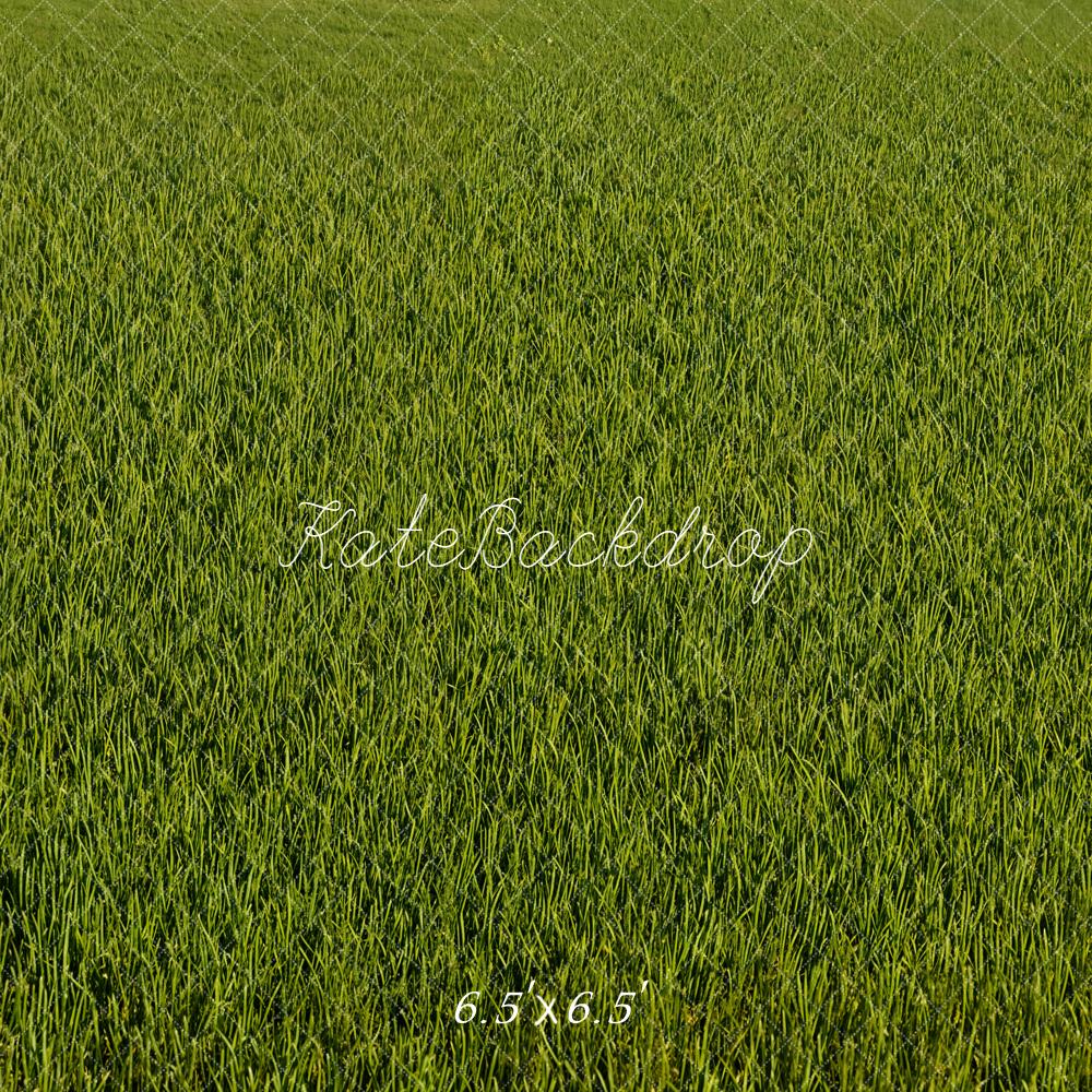 Kate Green Grass Texture Backdrop Designed by Emetselch