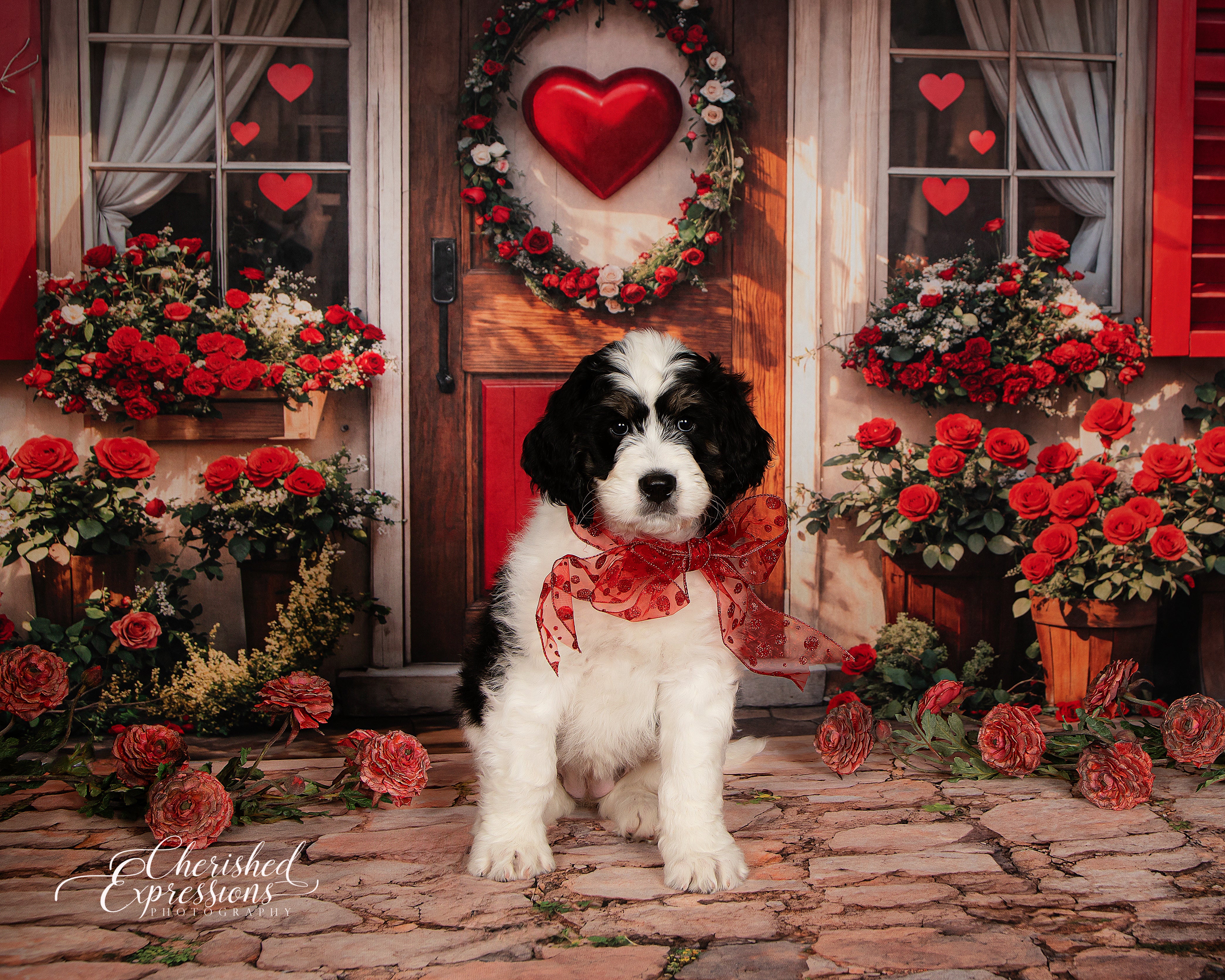 Kate Valentine Red Roses Heart Door Backdrop Designed by Emetselch - Kate Backdrop AU