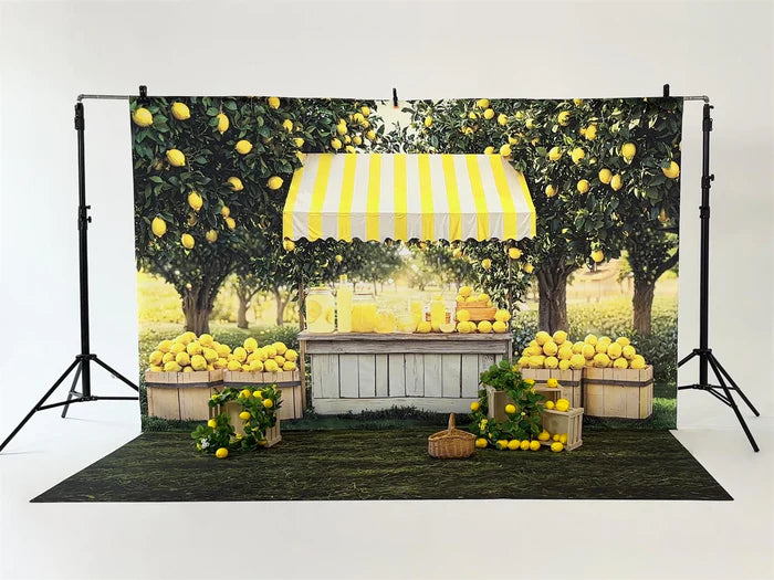 Kate Summer Lemonade Stand Photo Kit - Kate Backdrop AU