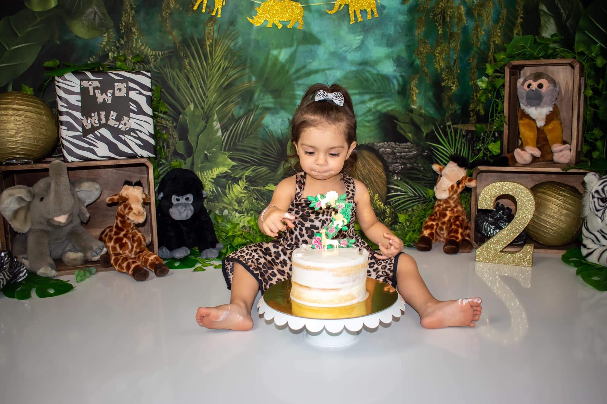 Kate Jungle Backdrop Designed by Mandy Ringe Photography - Kate Backdrop AU