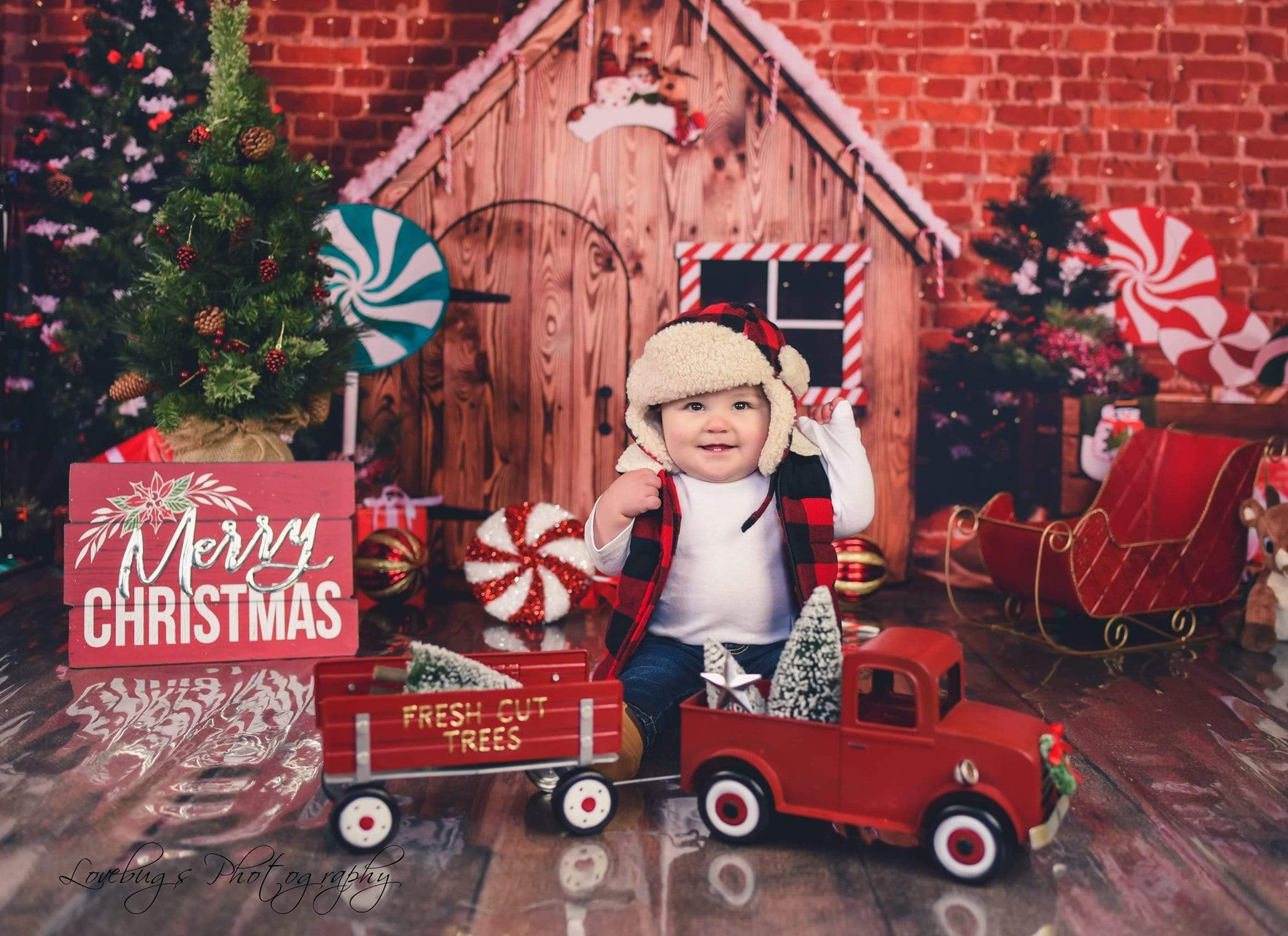 Kate Christmas Wooden House Hot cocoa Backdrop Gingerbread for Photography - Kate Backdrop AU