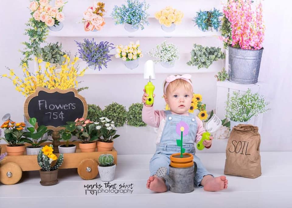 Kate Flowers Shop Spring Backdrop Designed By Moements Photography - Kate Backdrop AU