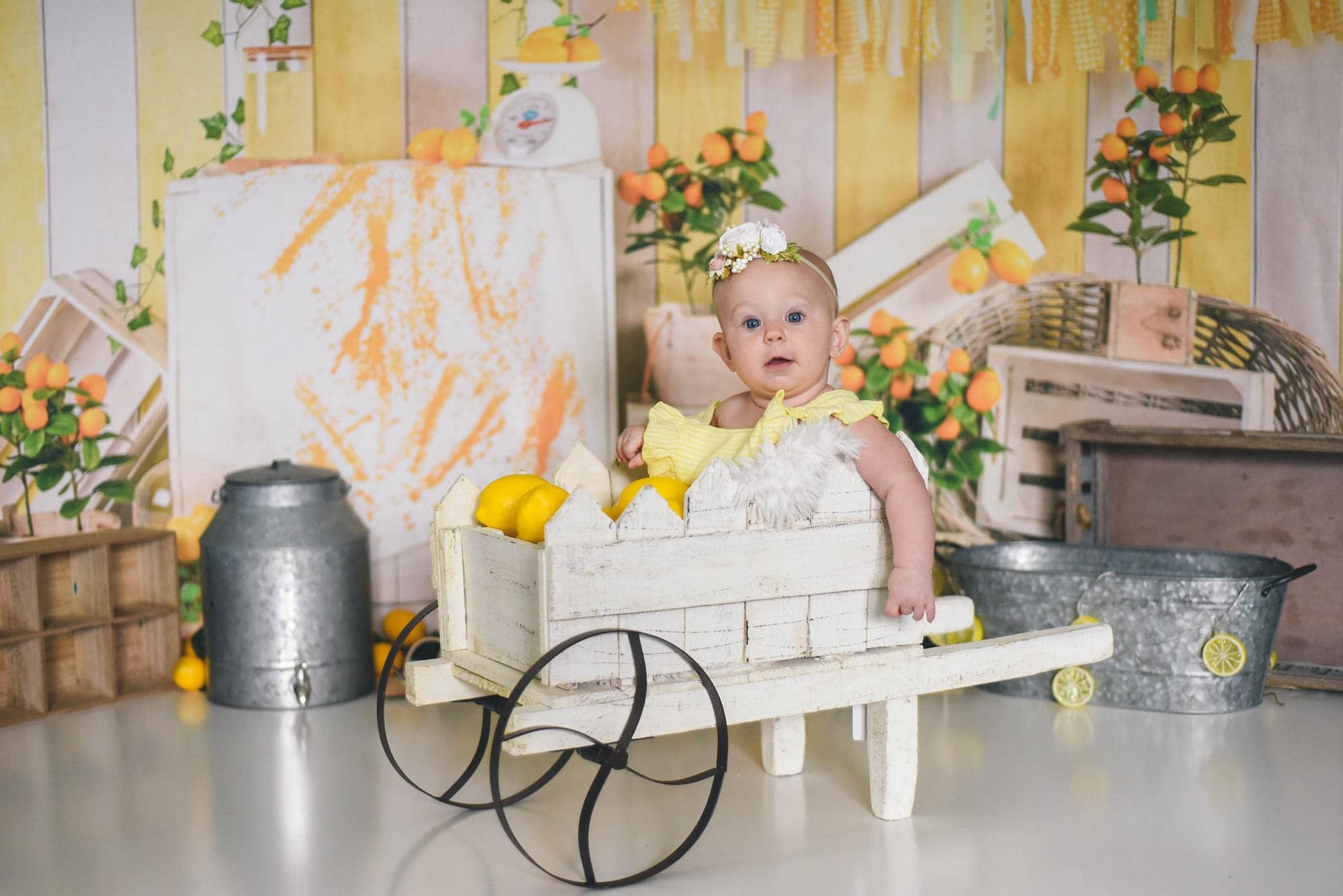 Kate Summer Lemonade Stand Backdrop Designed by Jia Chan Photography - Kate Backdrop AU