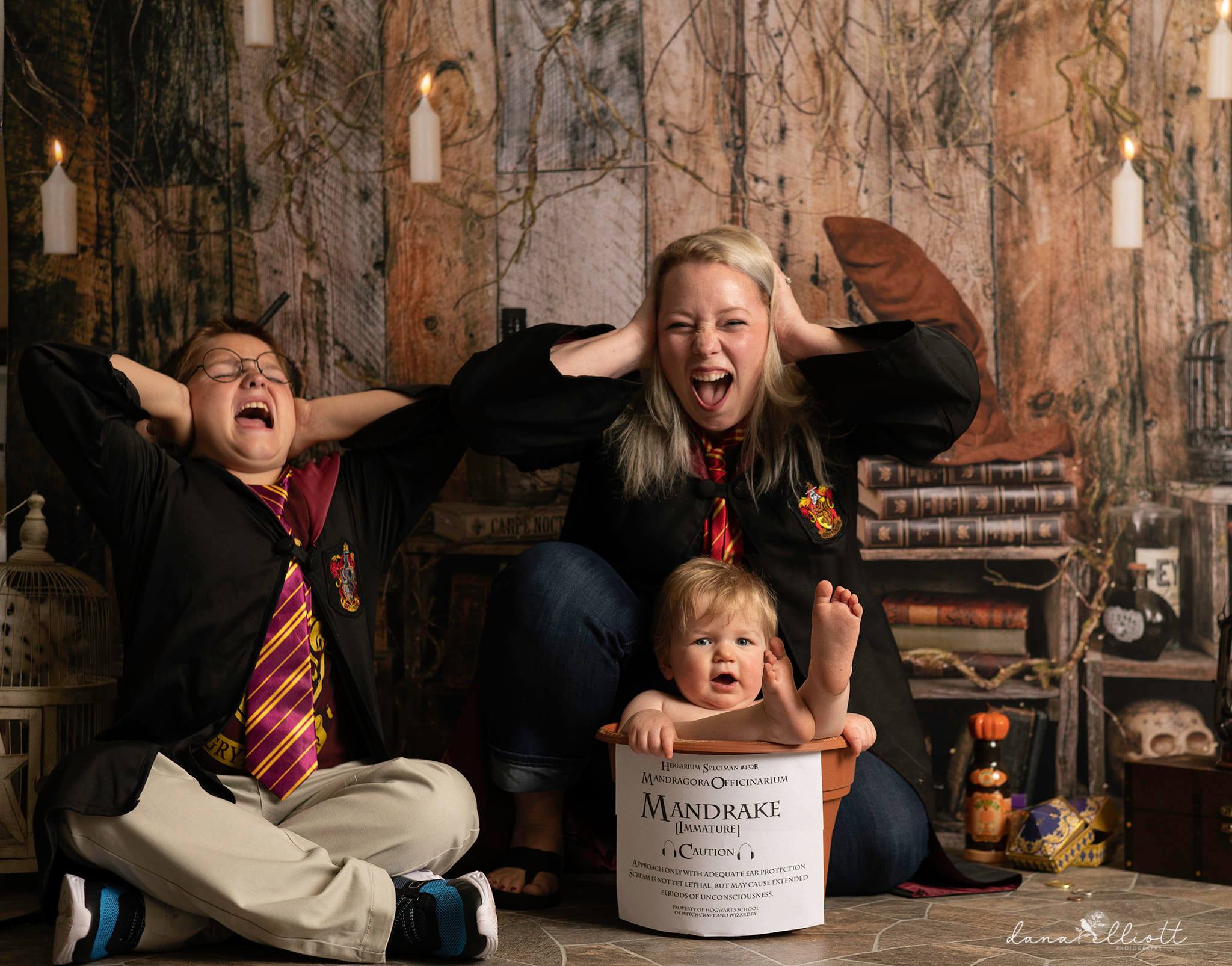 Kate Wizard Sitter Set Backdrop Designed by Arica Kirby - Kate Backdrop AU