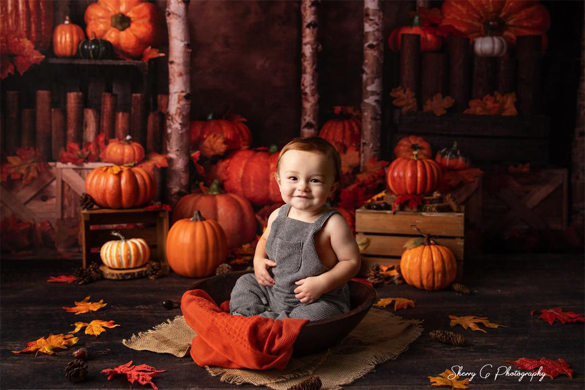 Kate Autumn/Thanksgiving Pumpkins Backdrop Designed by Jia Chan Photography - Kate Backdrop AU