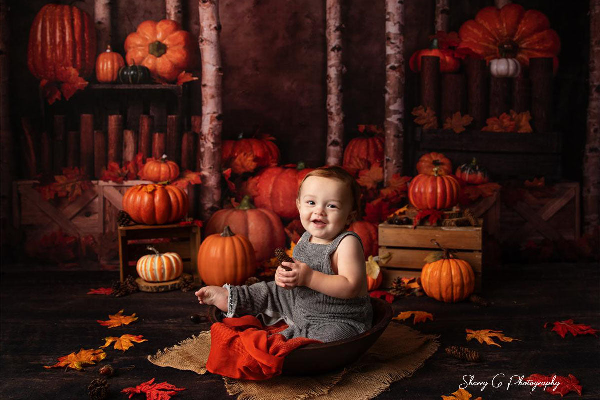 Kate Autumn/Thanksgiving Pumpkins Backdrop Designed by Jia Chan Photography - Kate Backdrop AU