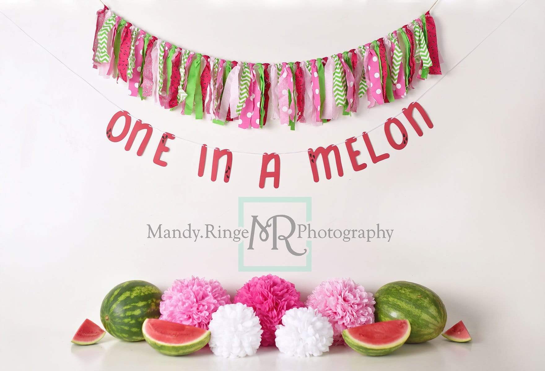 Kate Summer One in A Melon First Birthday Backdrop for Photography Designed by Mandy Ringe Photography - Kate Backdrop AU