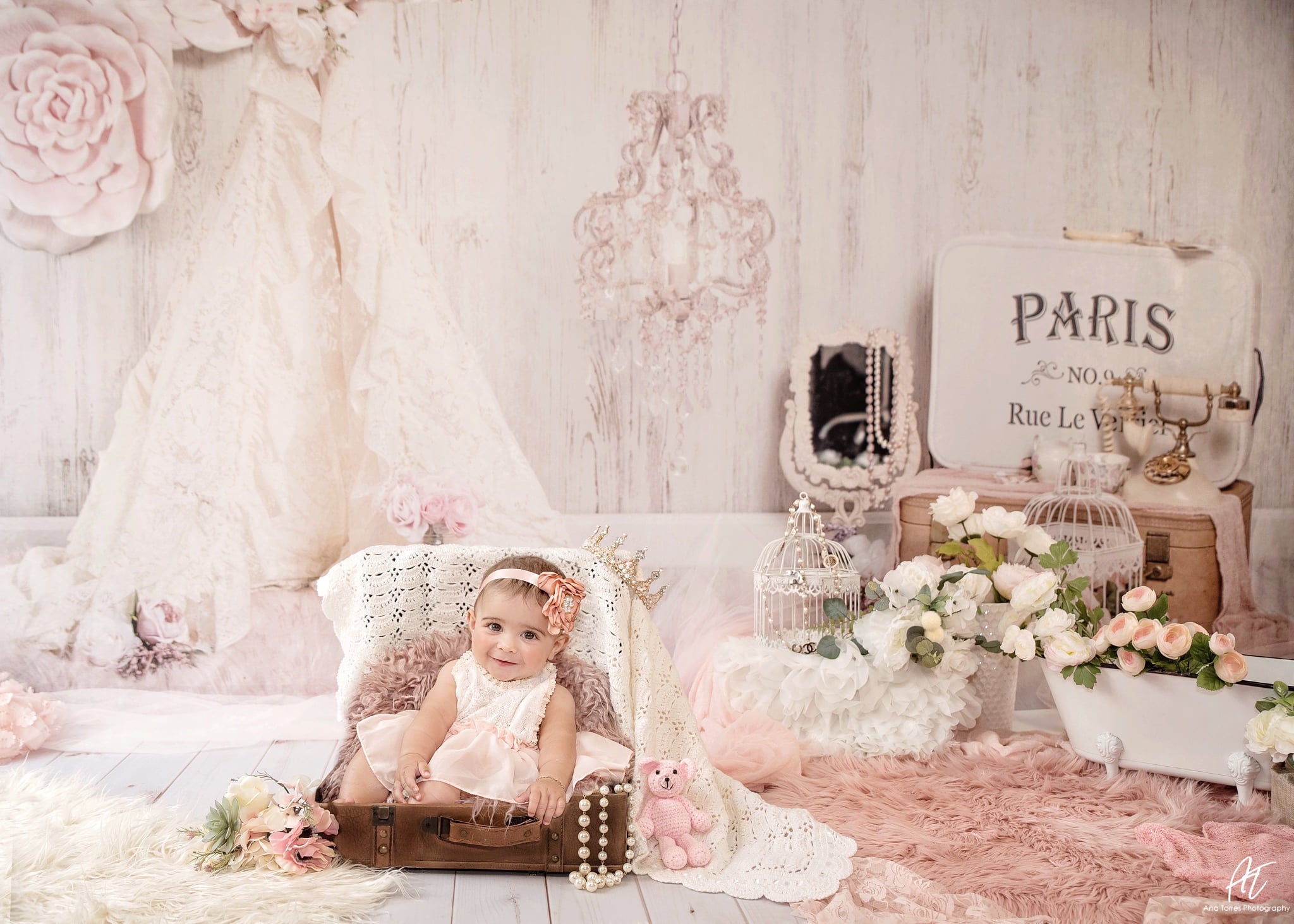 Kate Vintage Vibes Flower Paris Backdrop for Photography Designed by Erin Larkins - Kate Backdrop AU