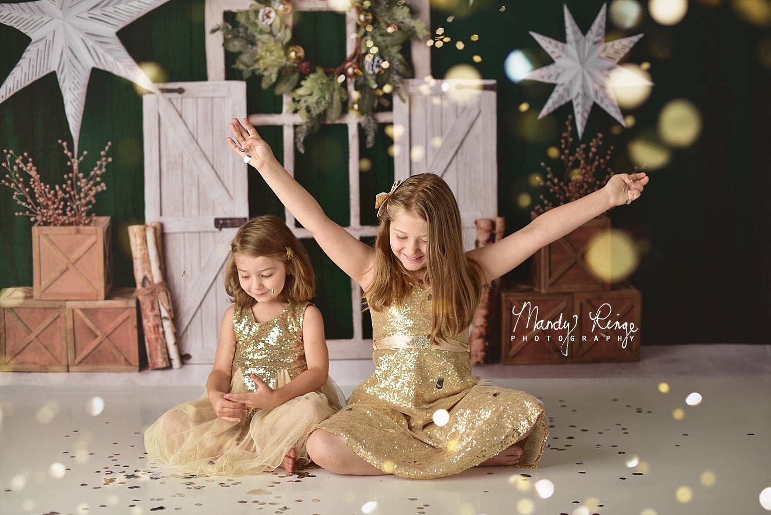 Kate Evergreen Christmas Holiday Backdrop for Photography Designed By Mandy Ringe Photography - Kate Backdrop AU
