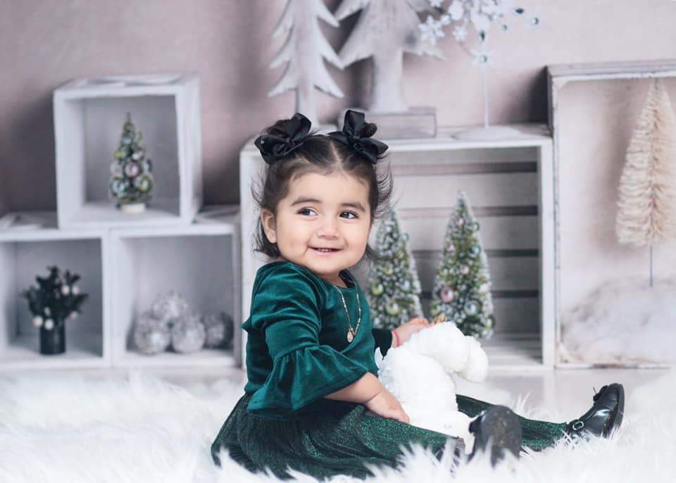 Kate Elegant Christmas Winter Display Backdrop for Photography Designed By Mandy Ringe Photography - Kate Backdrop AU
