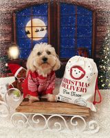 Kate Christmas Tree Santa Backdrop for Photography Designed by Lisa Granden - Kate Backdrop AU