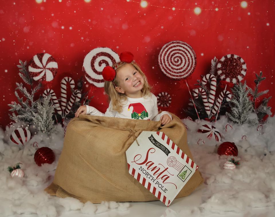 Kate Christmas Peppermint Wonderland Backdrop Designed by Mandy Ringe Photography - Kate Backdrop AU