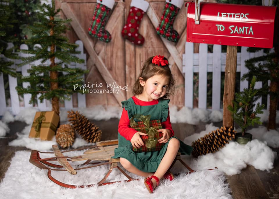 Kate Christmas Trees Barn Door Backdrop Designed by Emetselch - Kate Backdrop AU