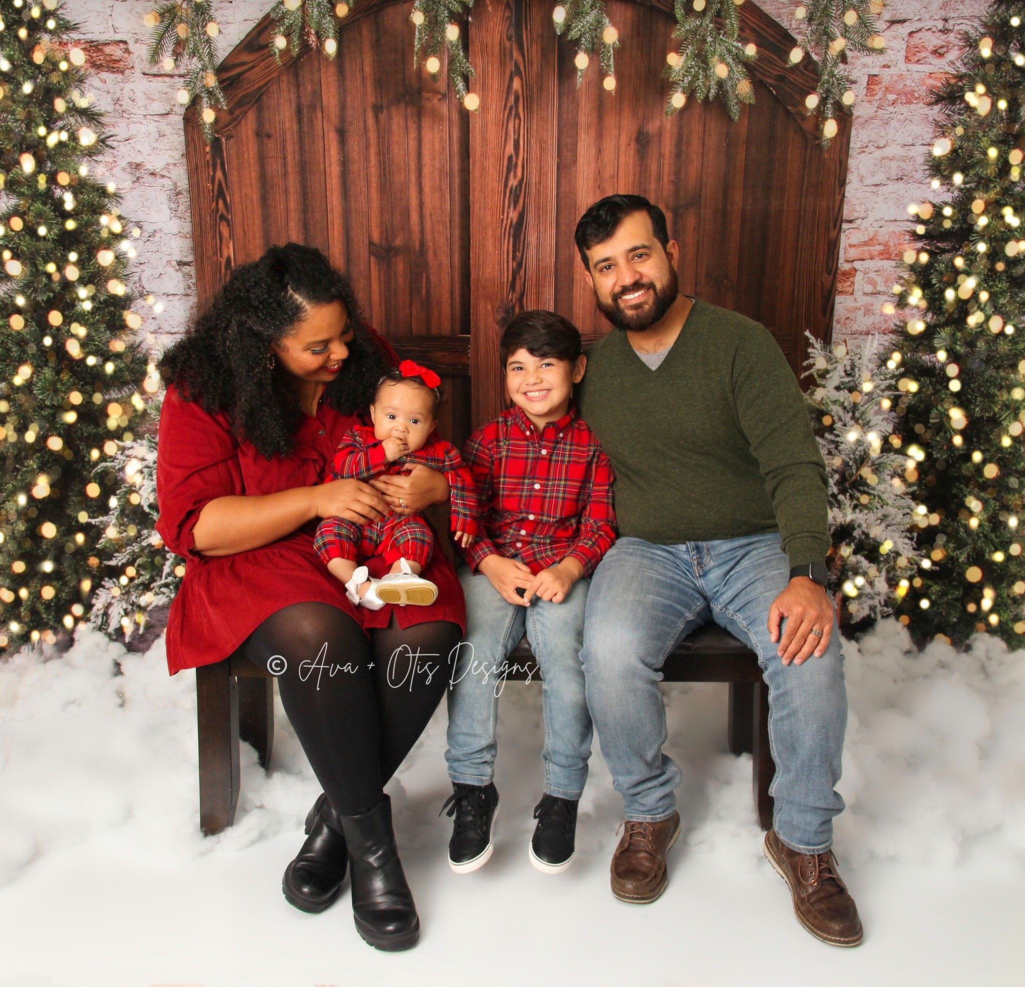 Kate Christmas Backdrop Snow Tree Winter Brick Wall Designed by Emetselch - Kate Backdrop AU