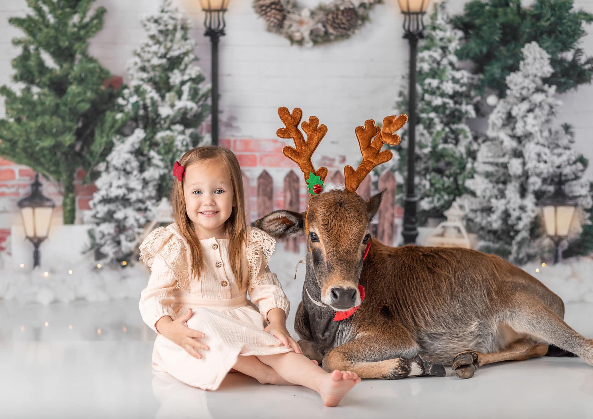 Kate Xmas Backdrop Christmas Garden with Lights Designed by Emetselch - Kate Backdrop AU