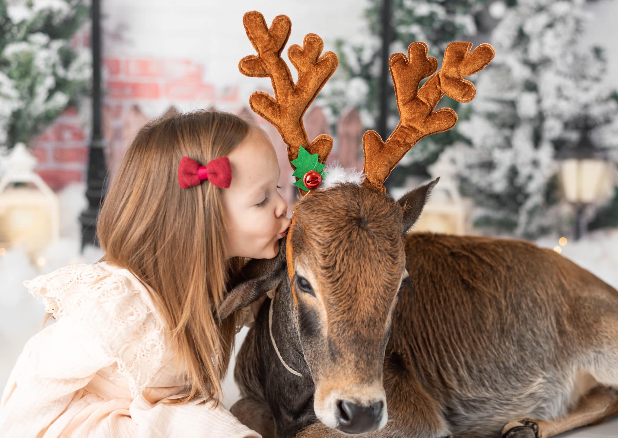 Kate Xmas Backdrop Christmas Garden with Lights Designed by Emetselch - Kate Backdrop AU