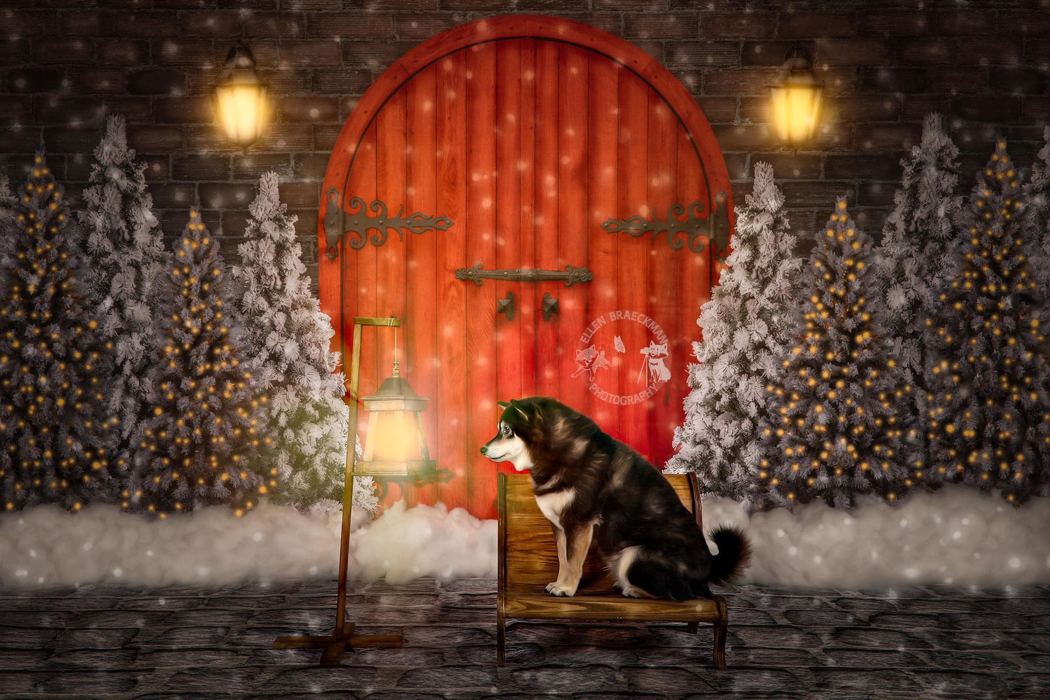 Kate Christmas Red Door Backdrop Designed By JS Photography - Kate Backdrop AU