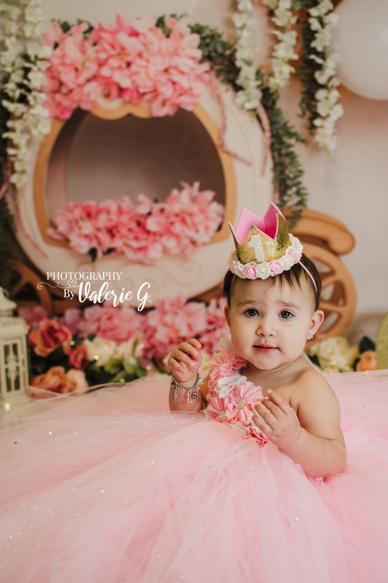 Kate Cake Smash Floral Balloon Carriage Backdrop Designed by Lisa B - Kate Backdrop AU