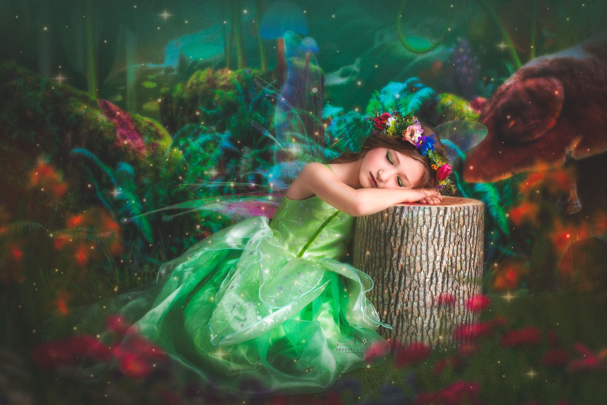 Kate Children Fairy Tale Wonderland Forest Mushrooms Backdrops - Kate Backdrop AU