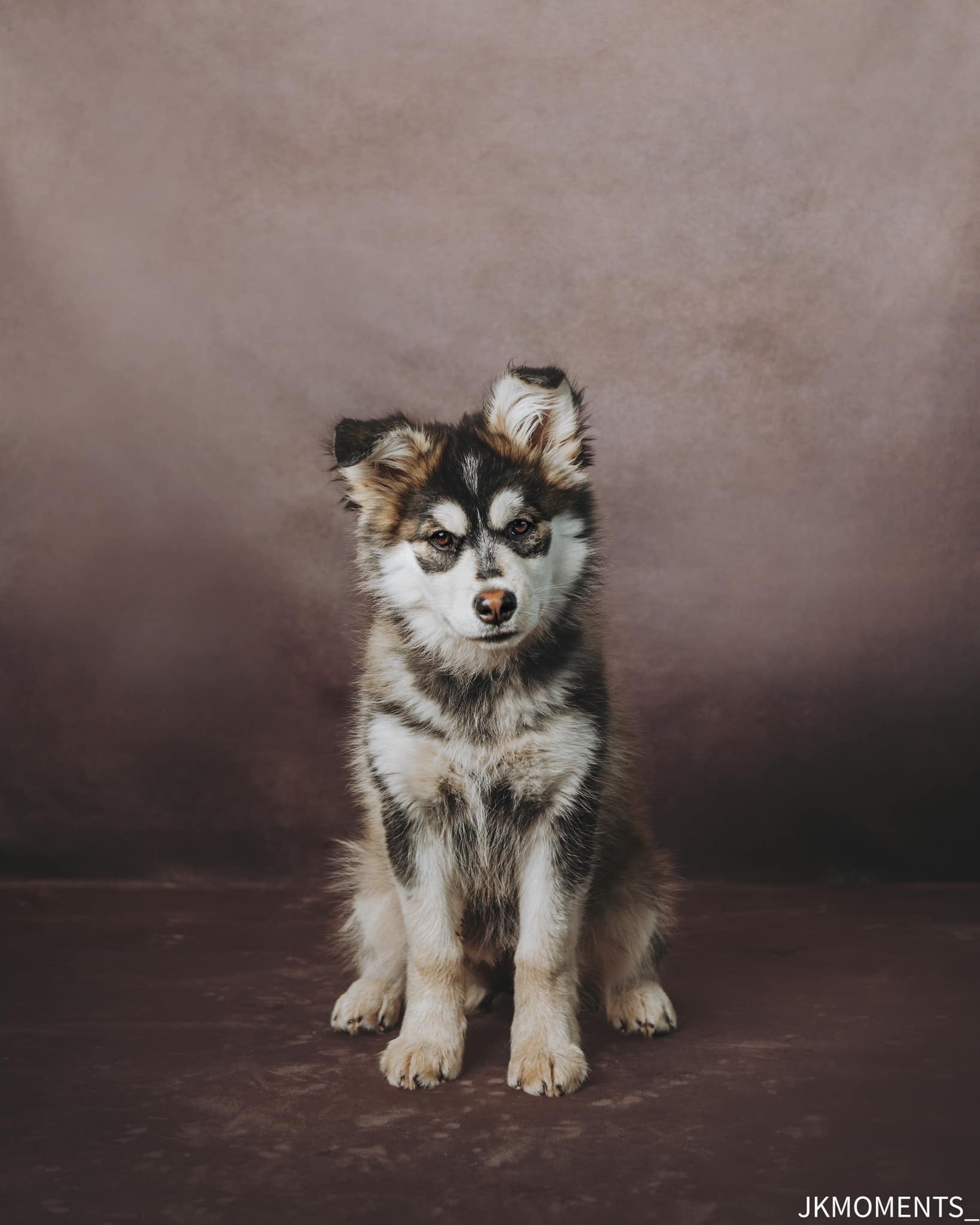Kate Sweep Brown Abstract Backdrop for Photography - Kate Backdrop AU