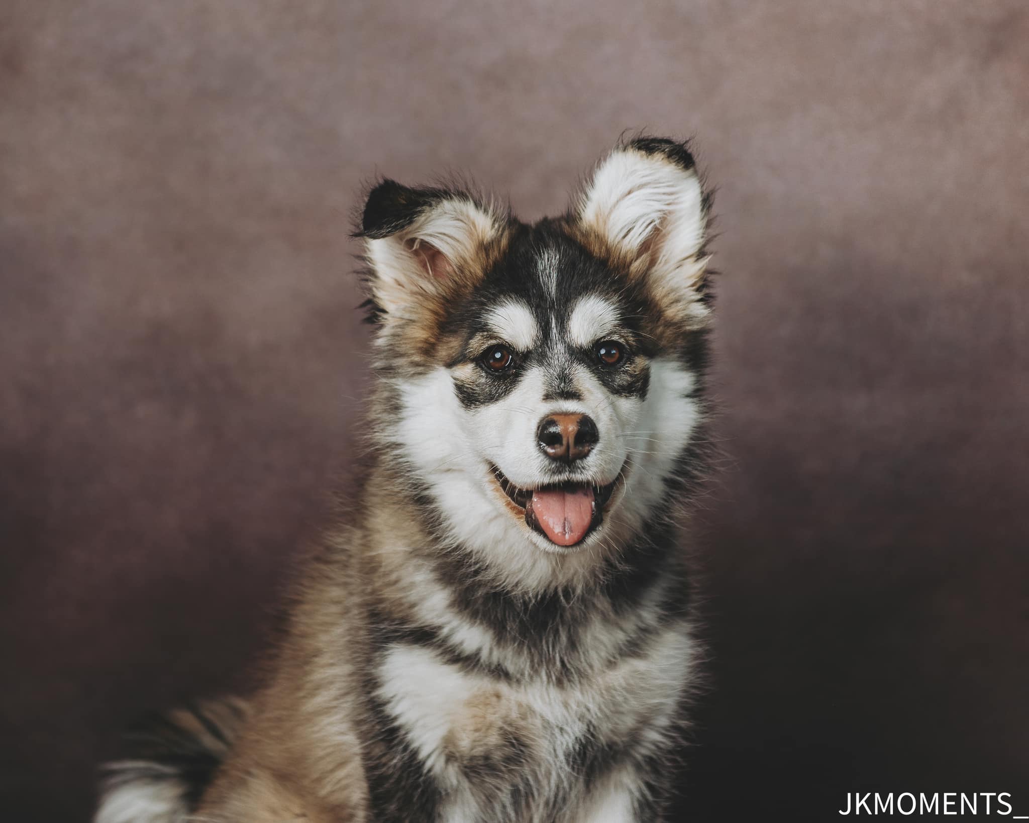 Kate Brown Abstract Backdrop for Photography - Kate Backdrop AU