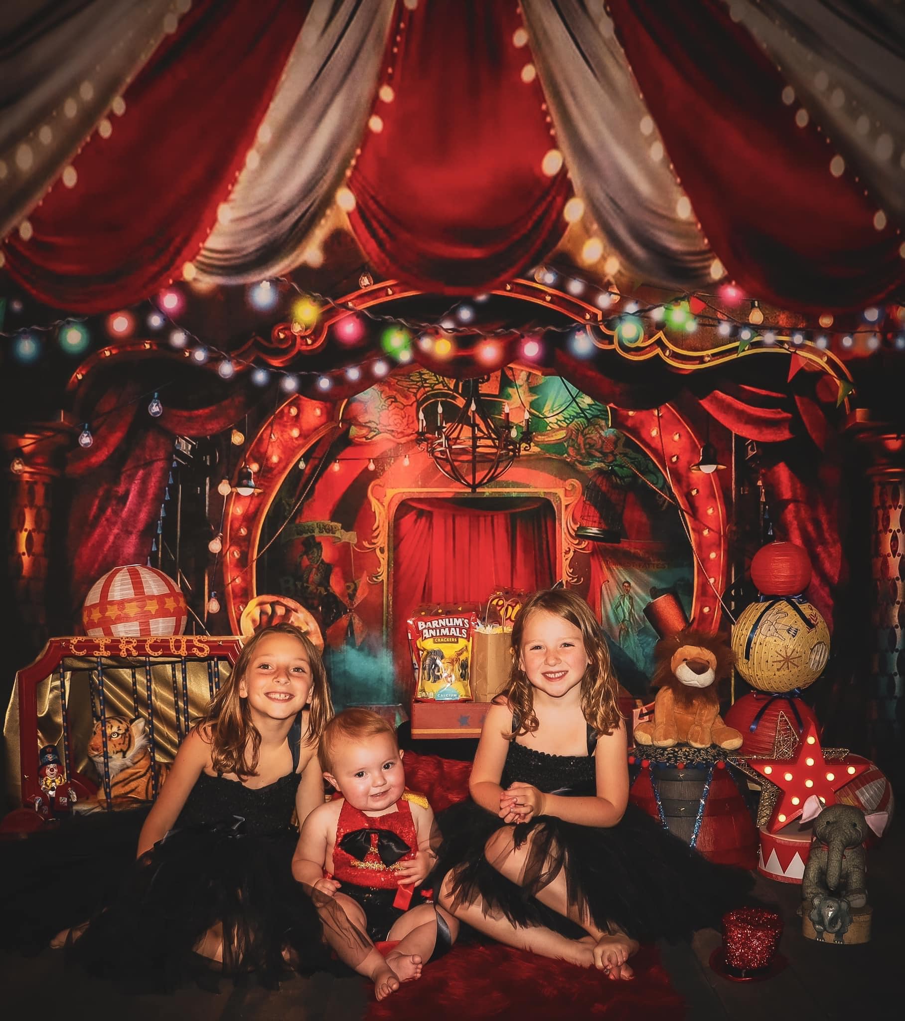 Kate Circus Backdrop Designed by Rosabell Photography