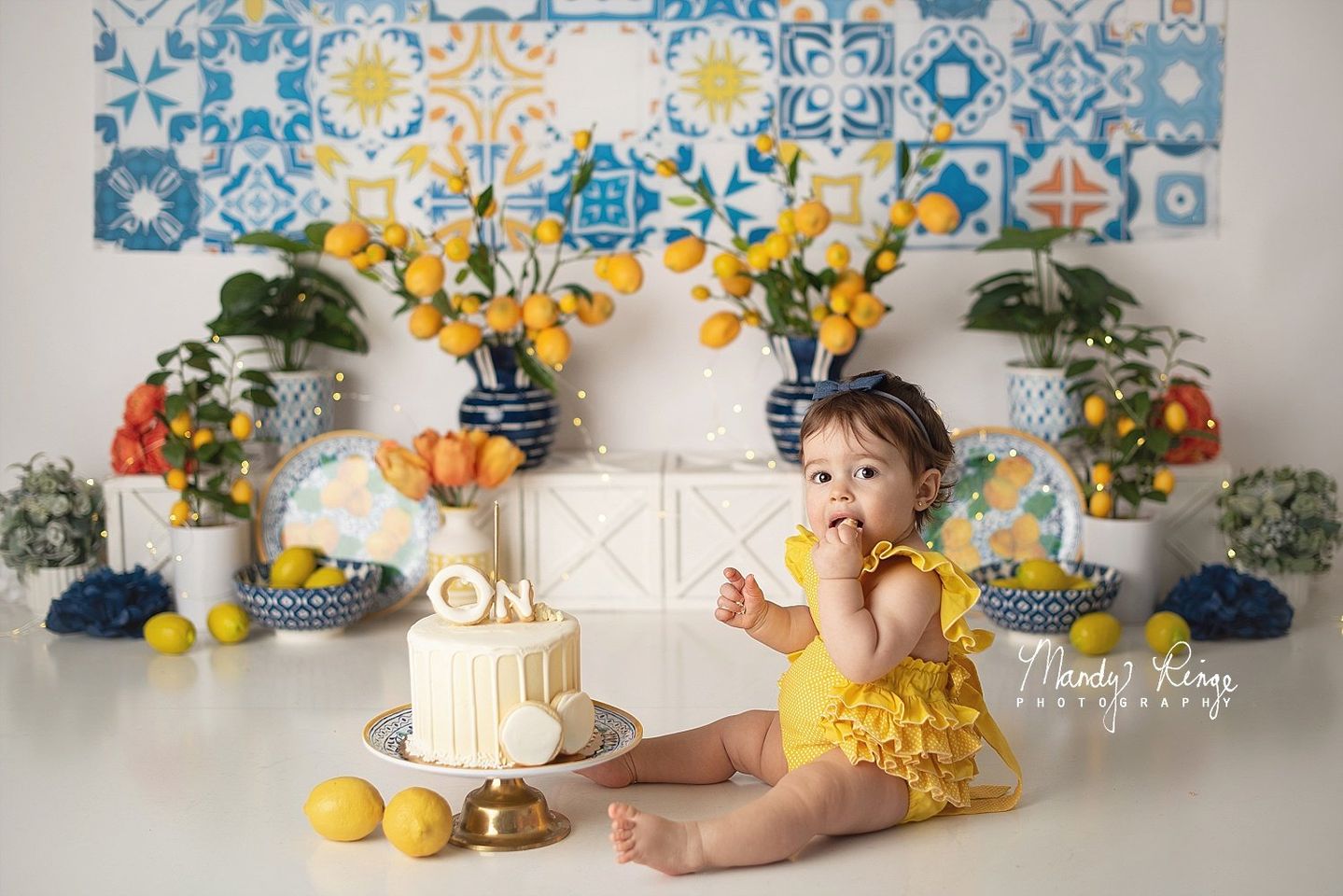Kate Mediterranean Summer Backdrop Designed by Mandy Ringe Photography - Kate Backdrop AU