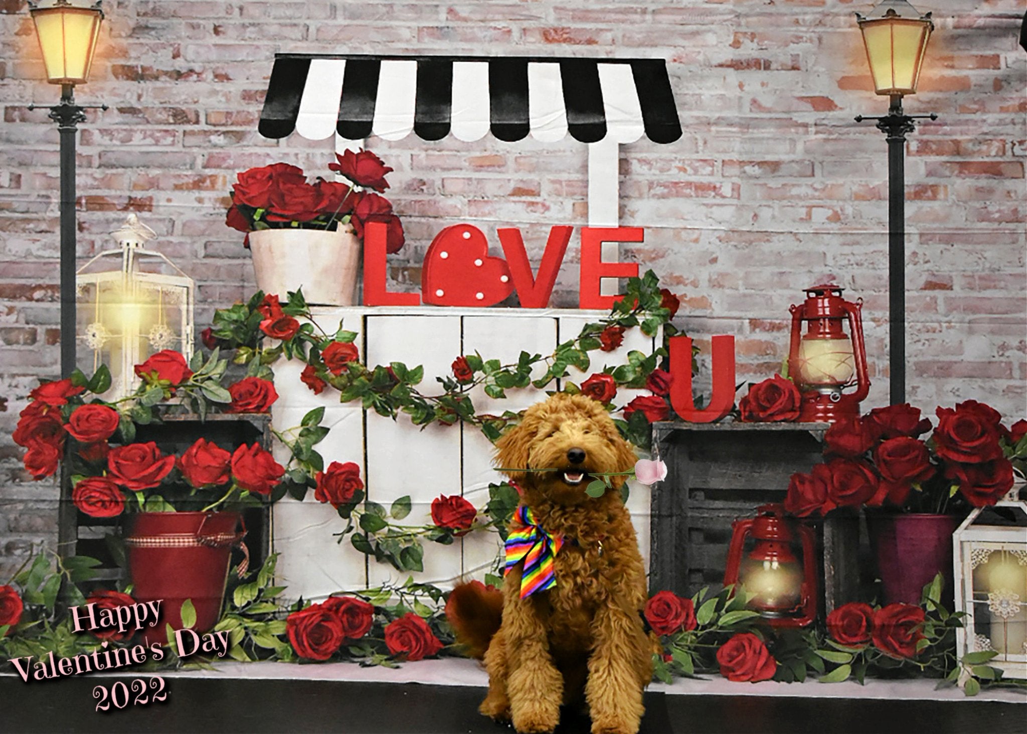 Kate Valentine's Day Roses Stand Backdrop Designed by Emetselch - Kate Backdrop AU