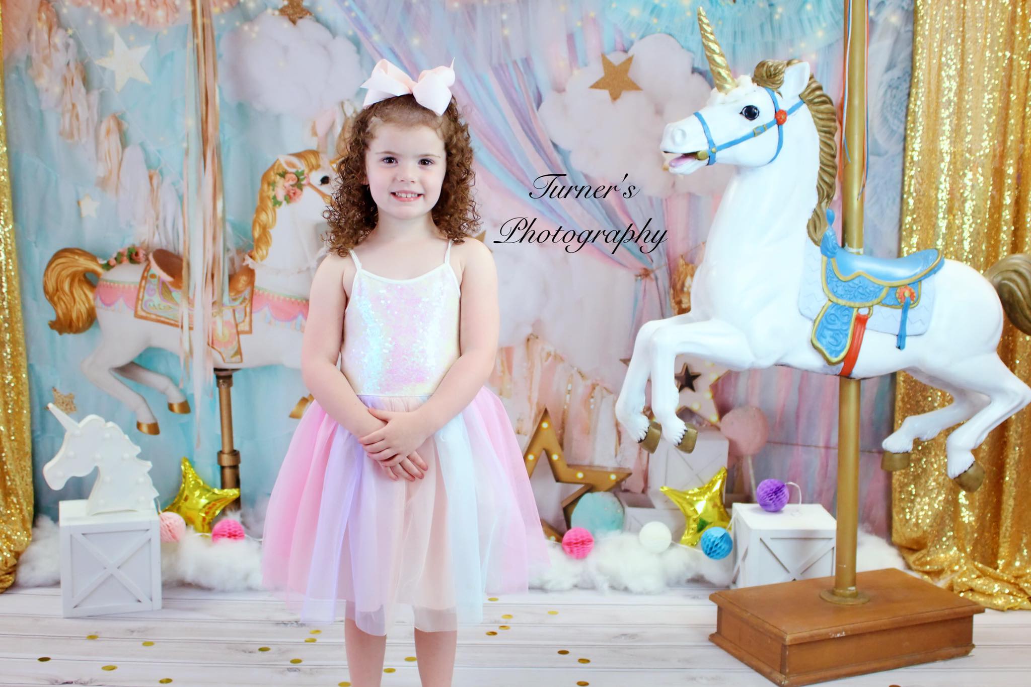 Kate Unicorn Carousel Backdrop Dreams Designed by Mandy Ringe Photography - Kate Backdrop AU
