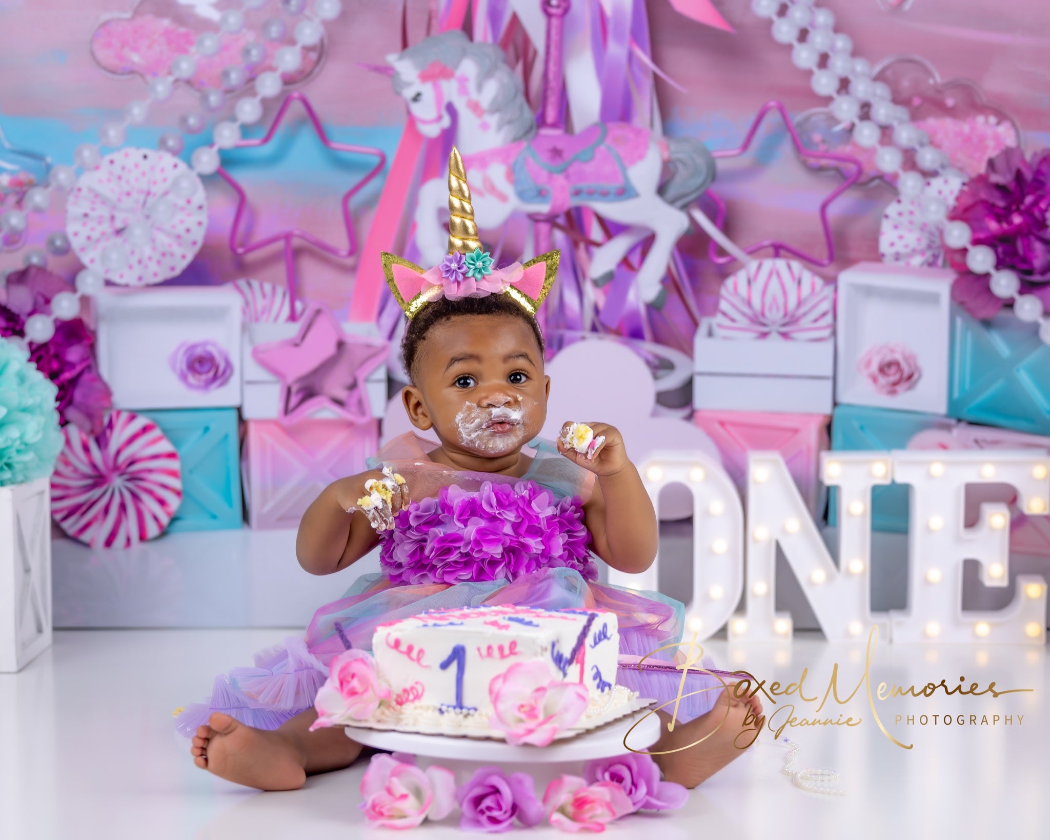 Kate Cake Smash Pink Carousel Backdrop Designed by Mini MakeBelieve - Kate Backdrop AU