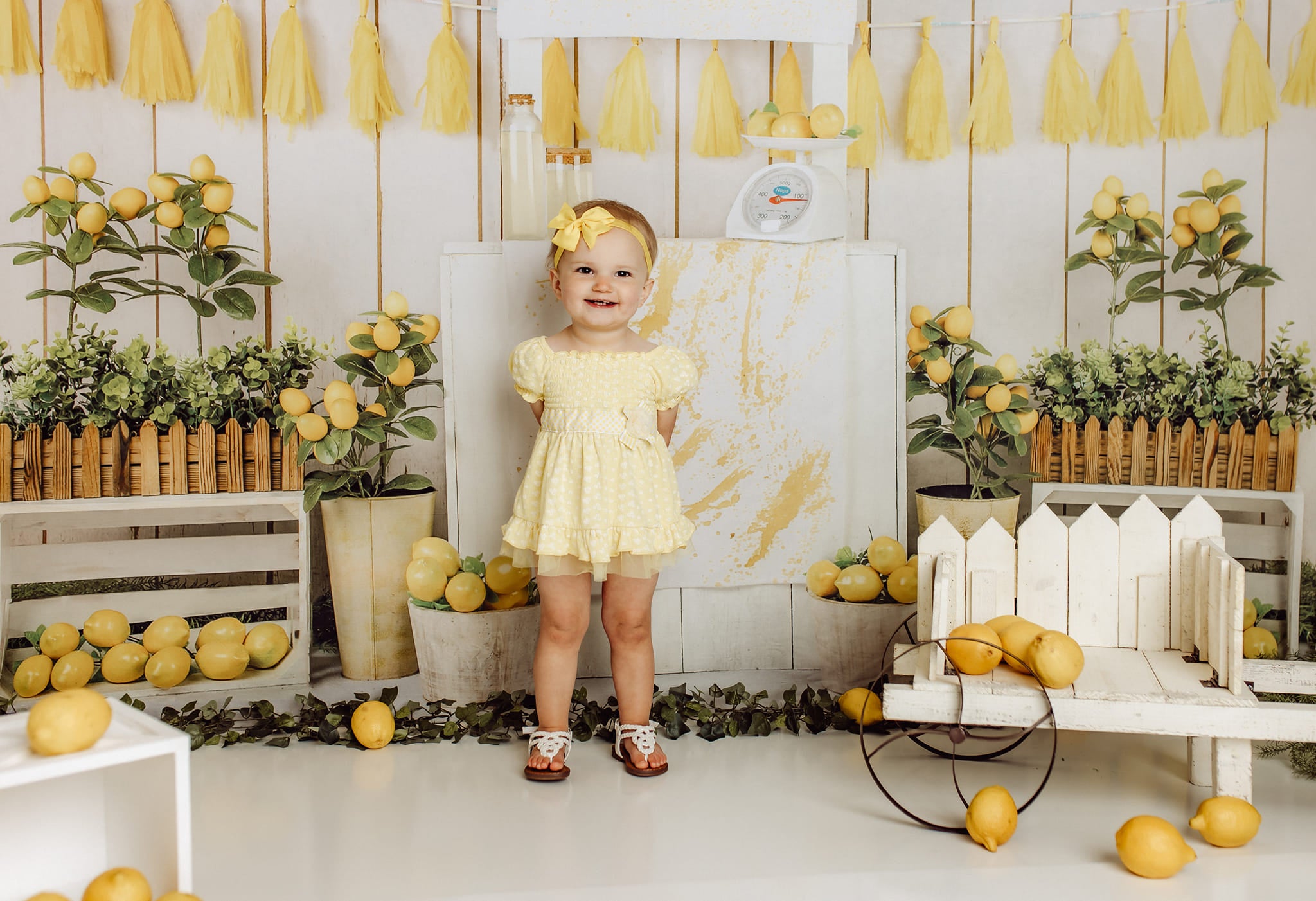 Kate Summer Lemon Store Backdrop Designed by Jia Chan Photography - Kate Backdrop AU