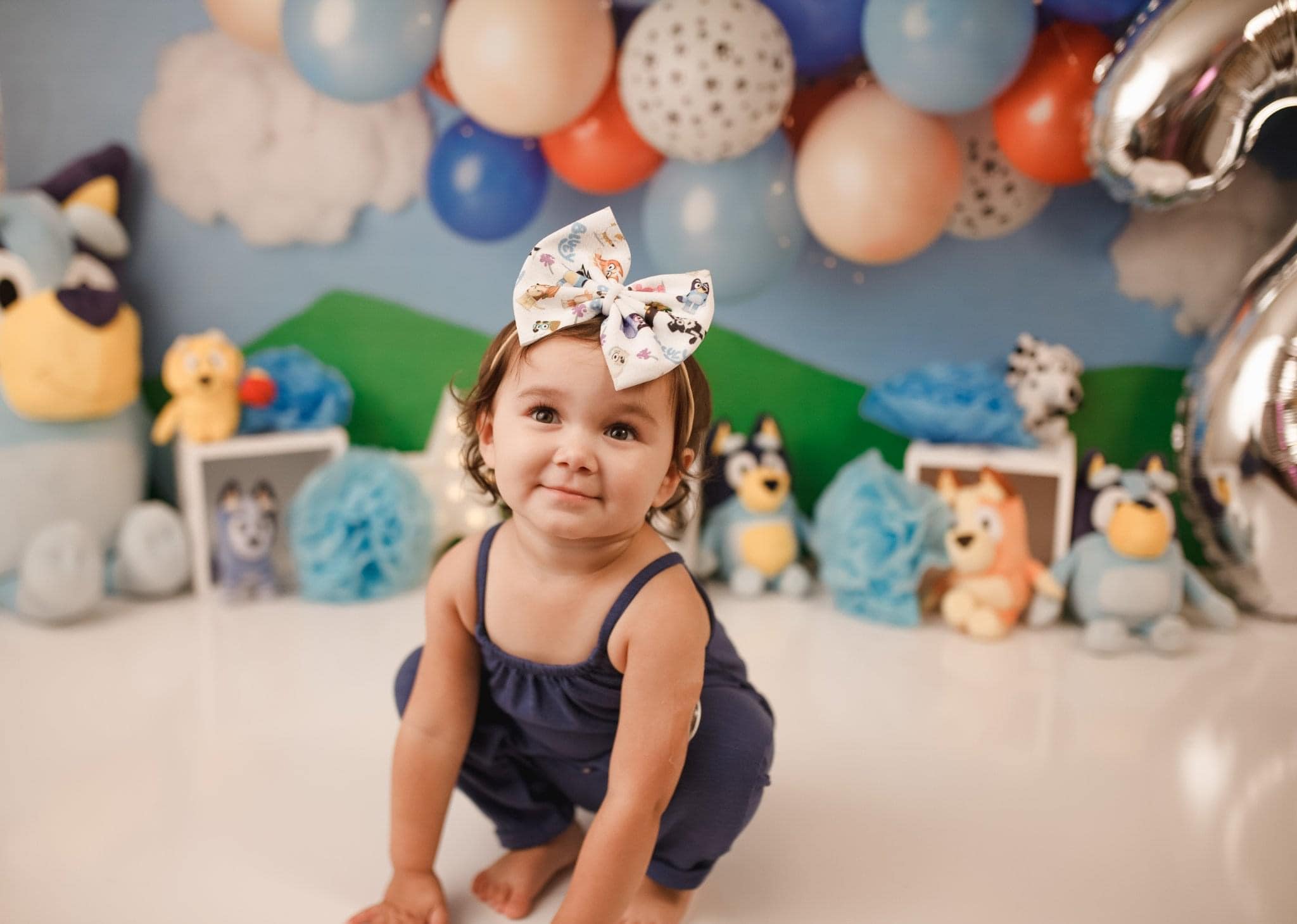 Kate Blue Dog Birthday Backdrop Designed by Mandy Ringe Photography - Kate Backdrop AU