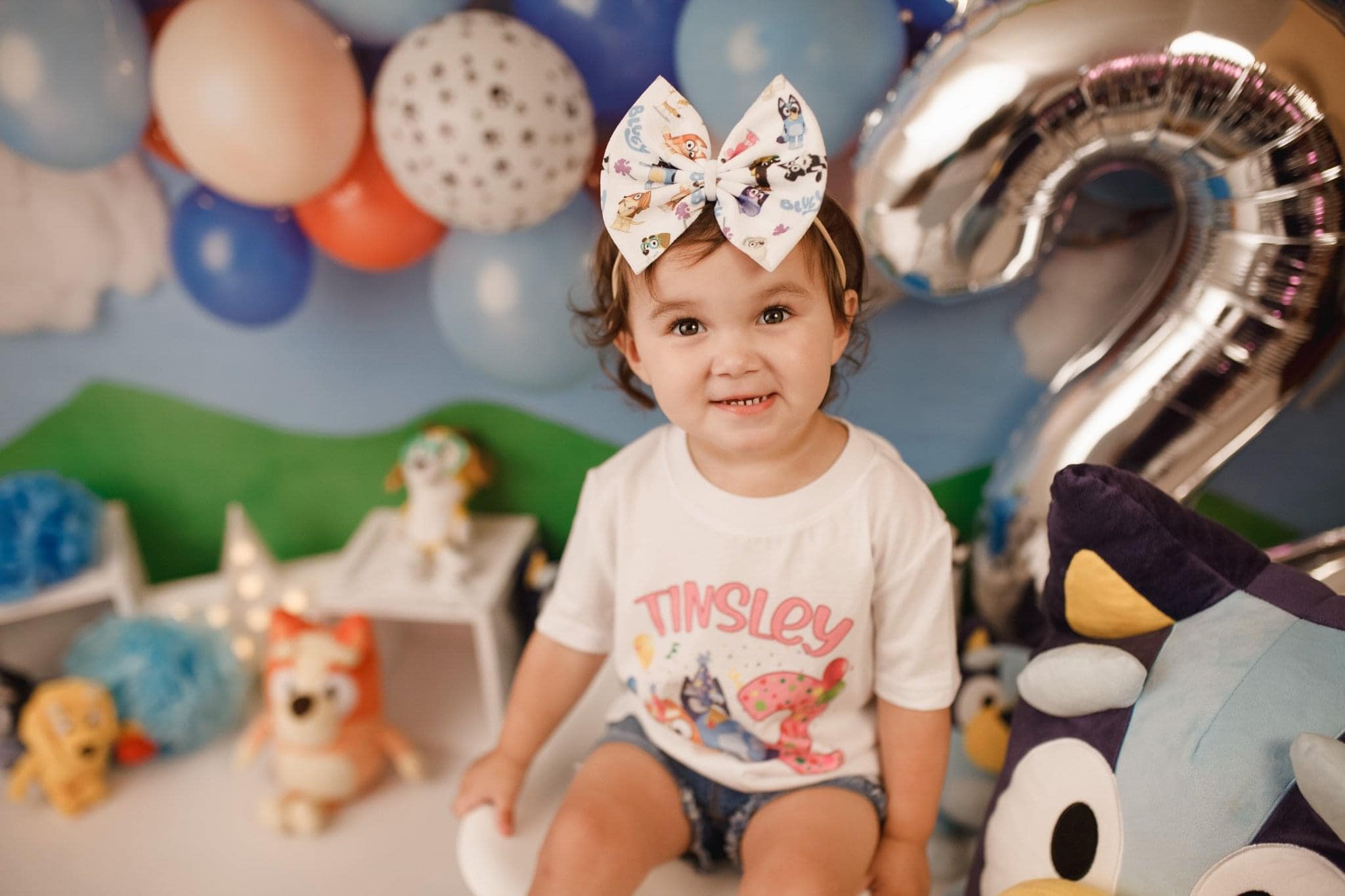 Kate Blue Dog Birthday Backdrop Designed by Mandy Ringe Photography - Kate Backdrop AU