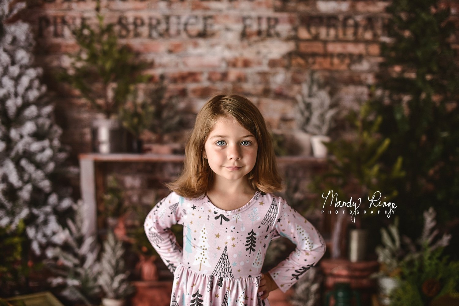 Kate Farm Fresh Backdrop Tree Stand Christmas Designed by Mandy Ringe Photography - Kate Backdrop AU
