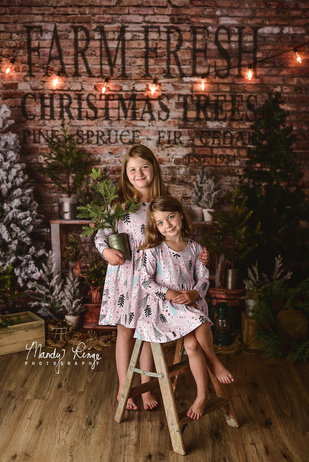 Kate Farm Fresh Backdrop Tree Stand Christmas Designed by Mandy Ringe Photography - Kate Backdrop AU