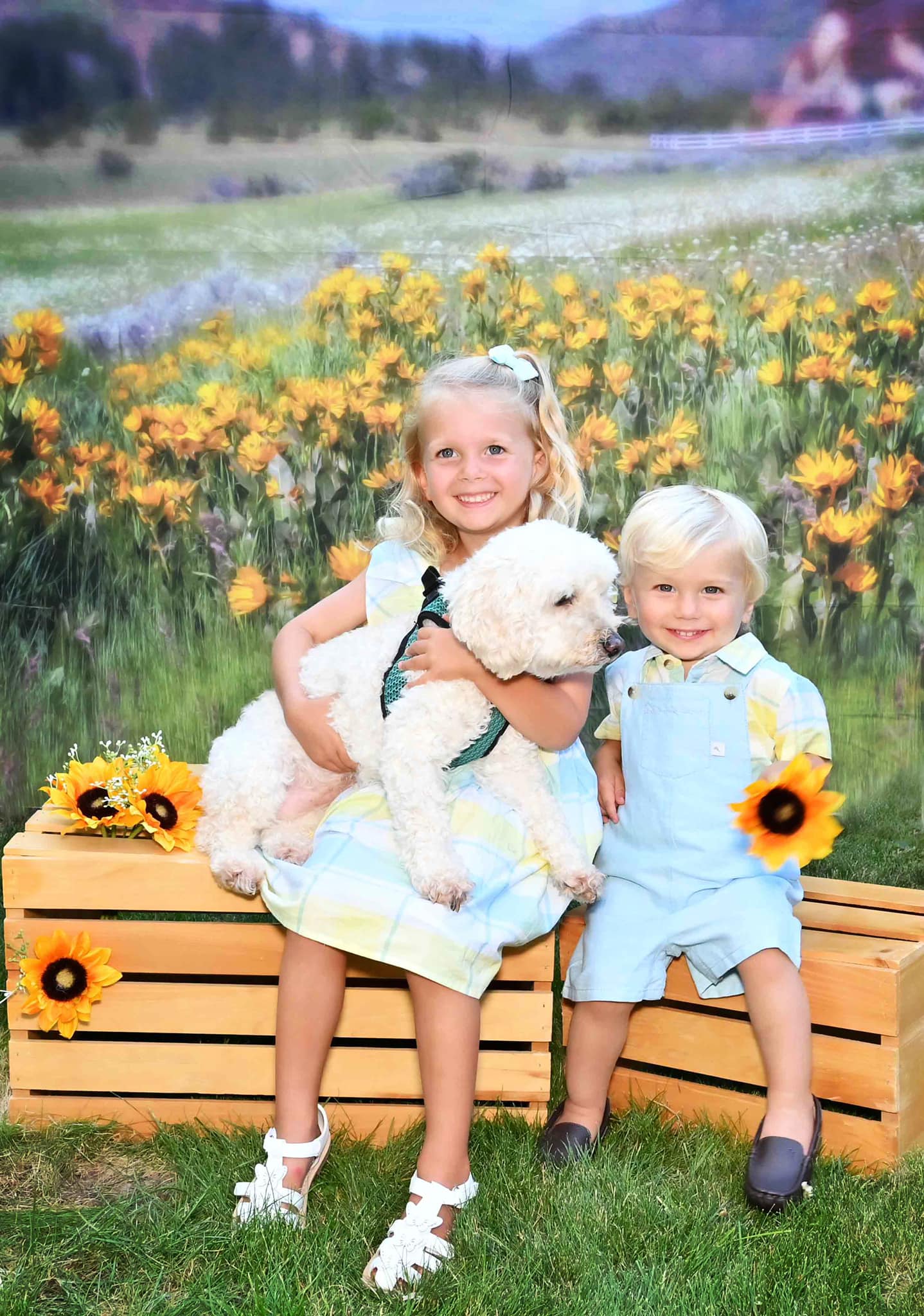 Kate Mountain Meadow Backdrop for Photography Designed by Lisa Granden - Kate Backdrop AU