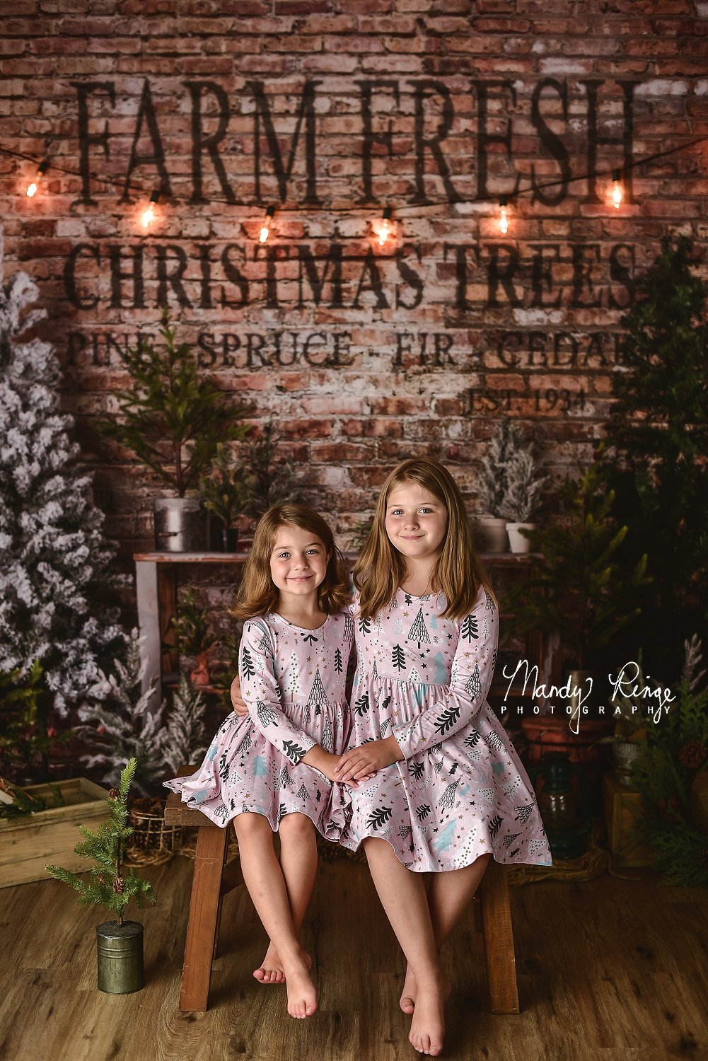 Kate Farm Fresh Backdrop Tree Stand Christmas Designed by Mandy Ringe Photography - Kate Backdrop AU