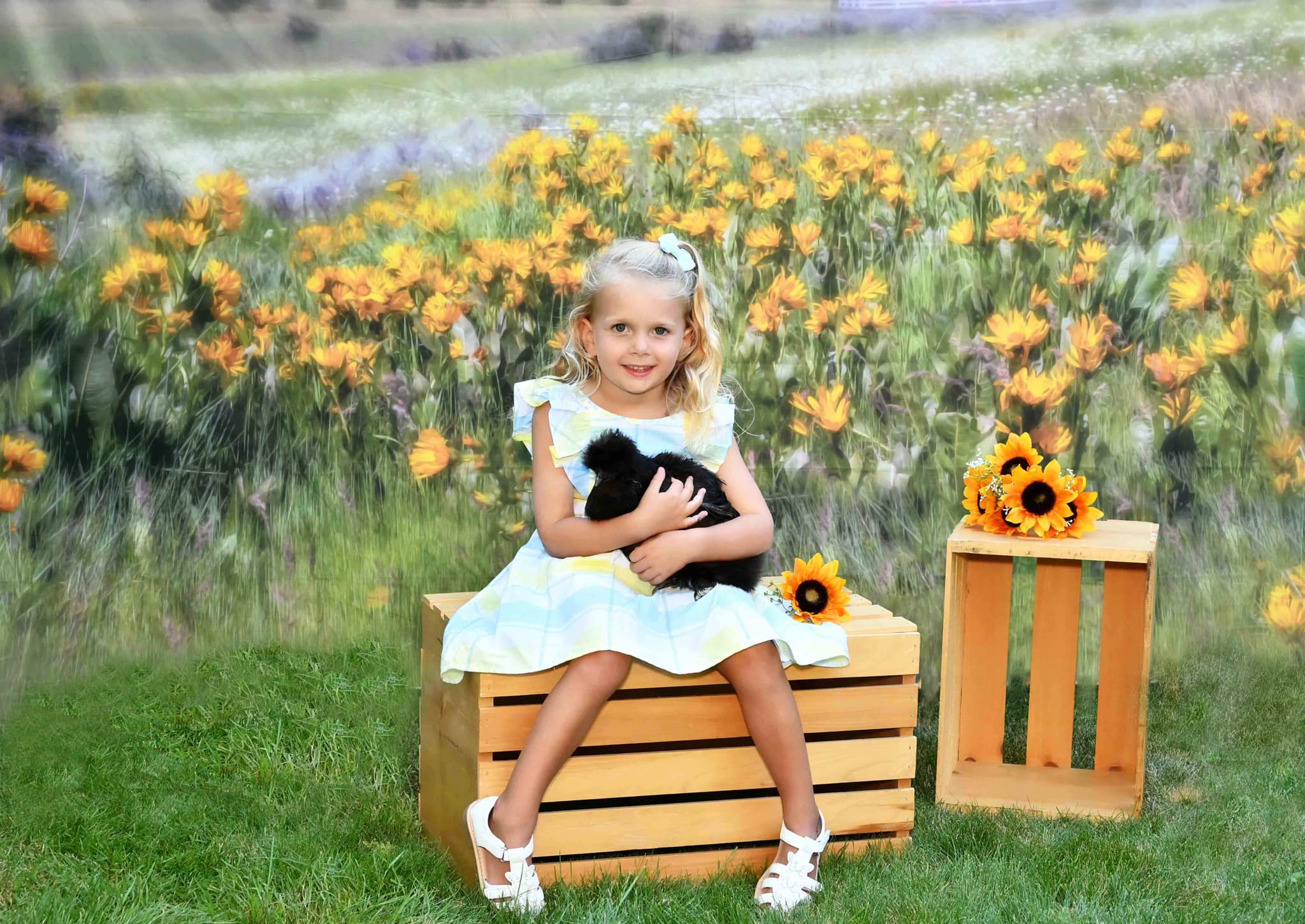 Kate Mountain Meadow Backdrop for Photography Designed by Lisa Granden - Kate Backdrop AU