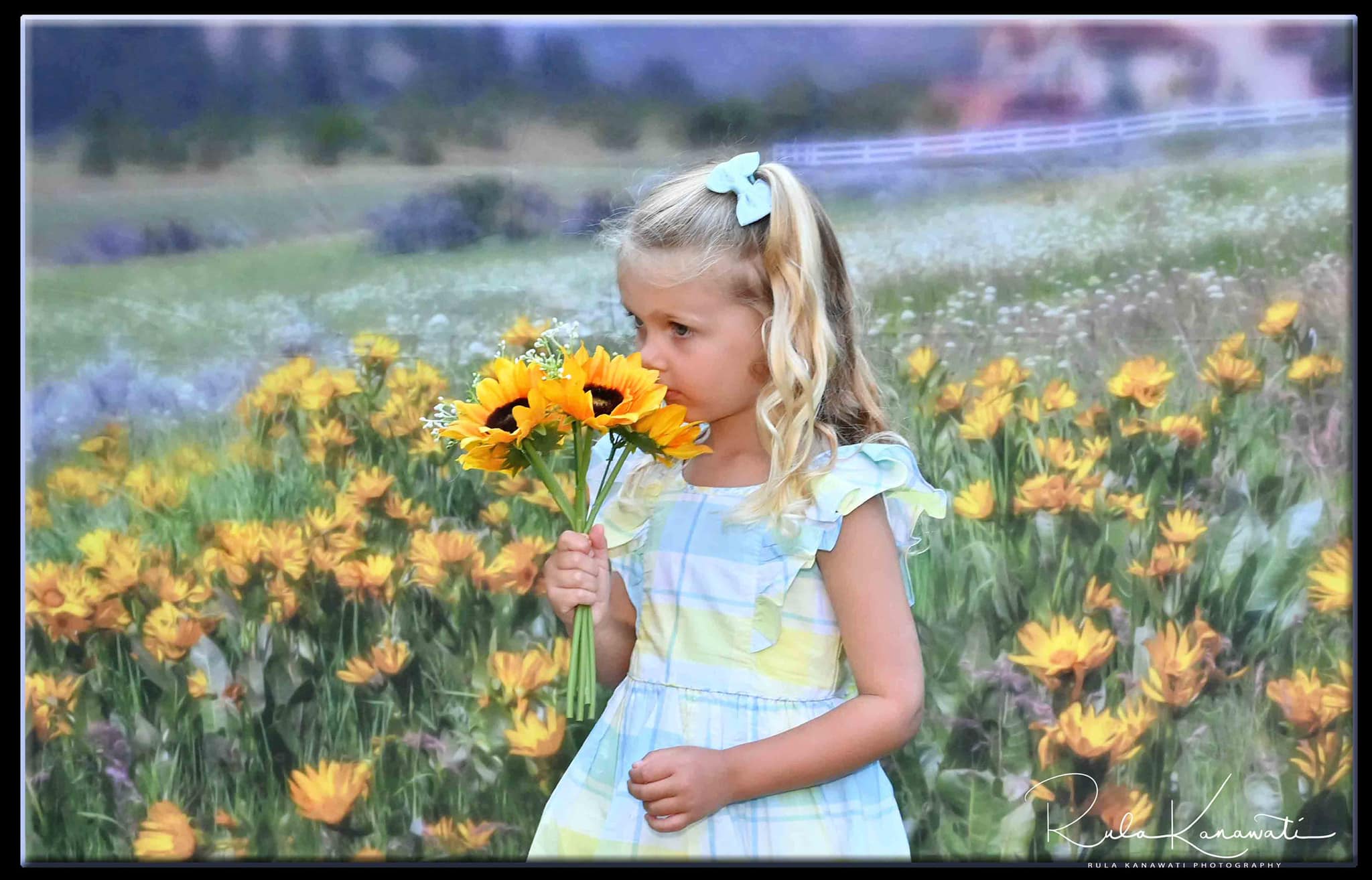 Kate Mountain Meadow Backdrop for Photography Designed by Lisa Granden - Kate Backdrop AU