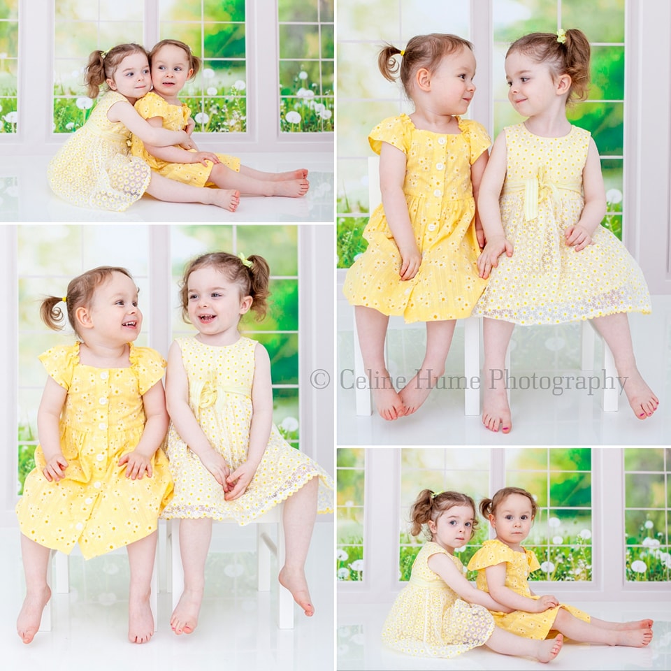 Kate Window Backdrop Spring Garden Designed by Emetselch - Kate Backdrop AU