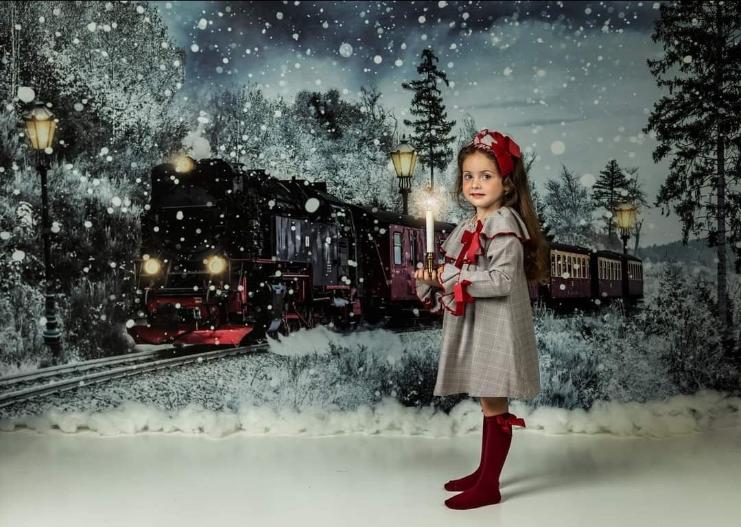 Kate Winter Christmas Train Backdrop Snow Designed by Chain Photography - Kate Backdrop AU