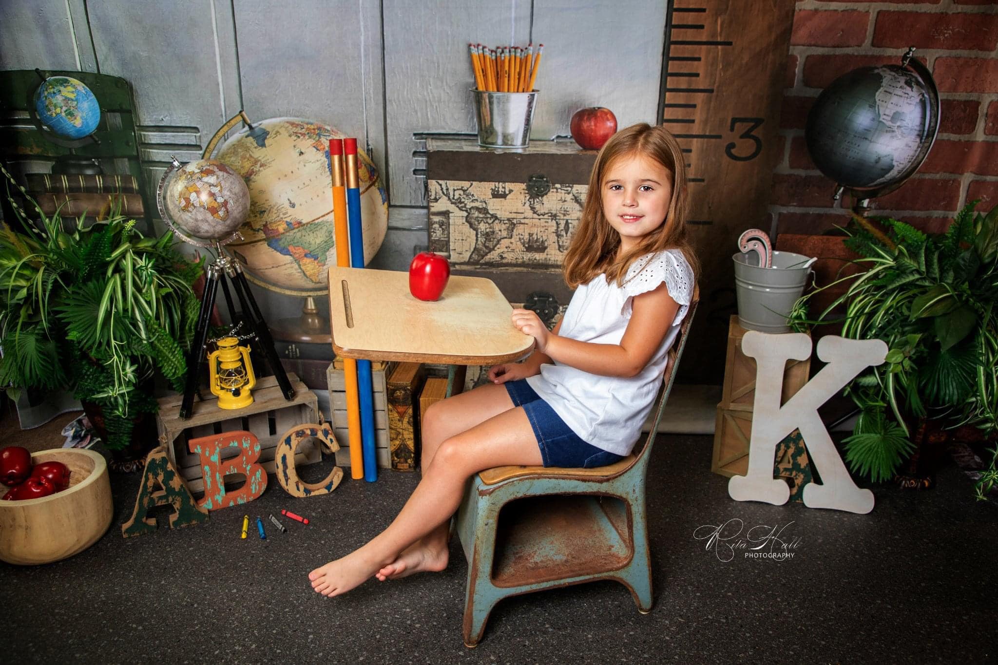 Kate School Grad with sign Backdrop for Photography Designed By Erin Larkins - Kate Backdrop AU