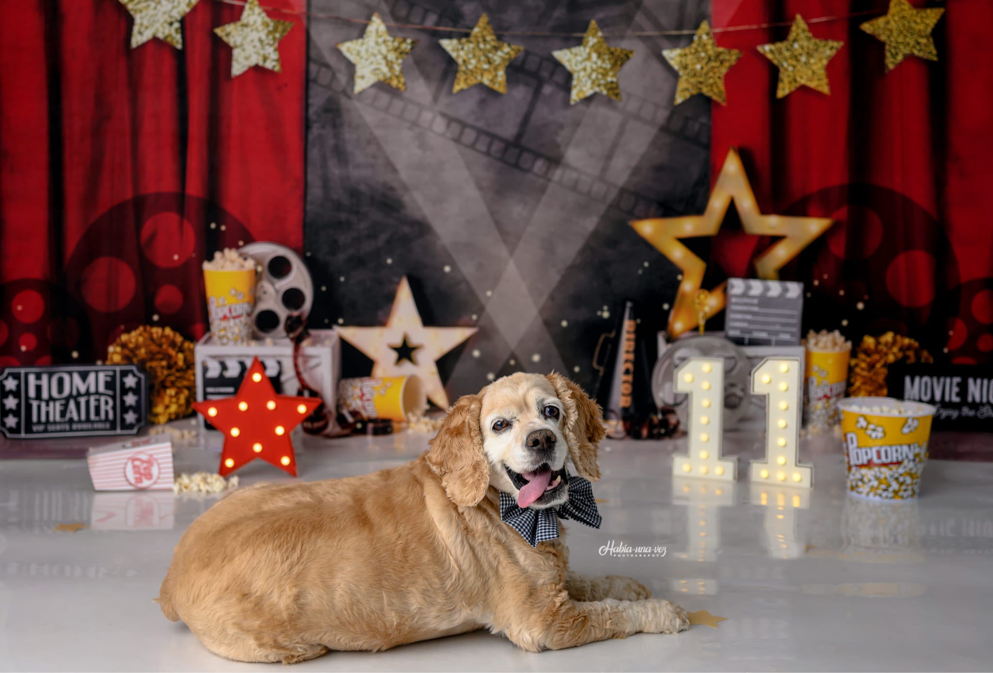 Kate Movie Night Backdrop Red Curtain Designed by Mandy Ringe Photography - Kate Backdrop AU