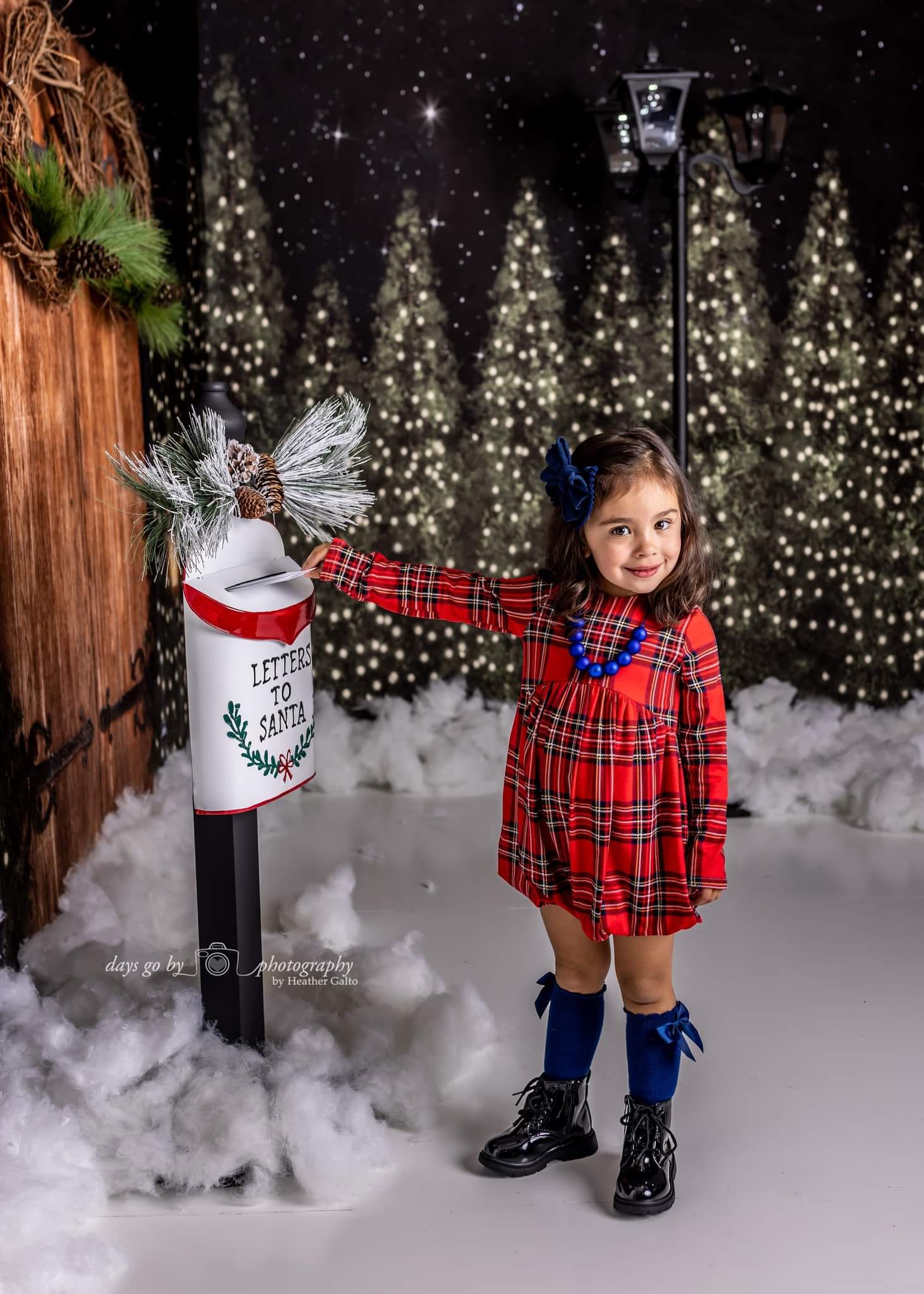 Kate Christmas Trees Snow Winter Room Set - Kate Backdrop AU