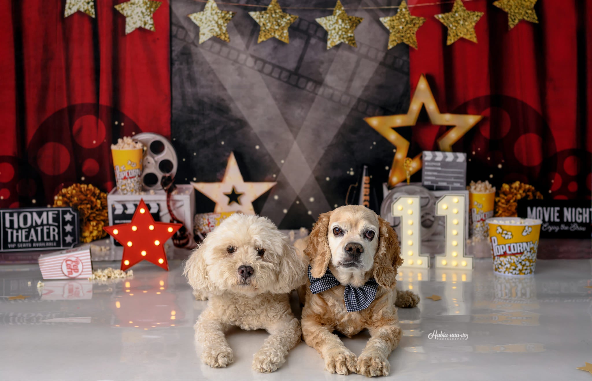 Kate Movie Night Backdrop Red Curtain Designed by Mandy Ringe Photography - Kate Backdrop AU